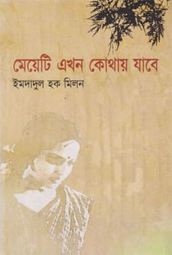 মেয়েটি এখন কোথায় যাবে (হার্ডকভার) | Mayti Akhon Kothai Jabe (Hardcover)