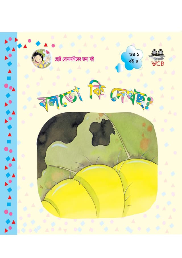 বলতো কি দেখছ? (পেপারব্যাক) | Boloto ki Dekhcho? (Paperback)