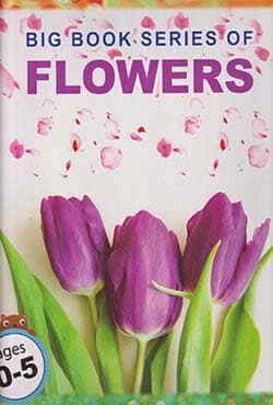 Big Book Series Of Flowers (পেপারব্যাক) | Big Book Series Of Flowers (Paperback)