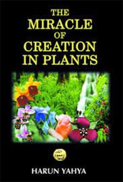 The Miracle of Creation In Plants (পেপারব্যাক) | The Miracle of Creation In Plants (Paperback)