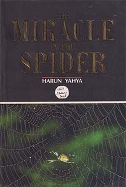 The Miracle in the Spider (পেপারব্যাক) | The Miracle in the Spider (Paperback)