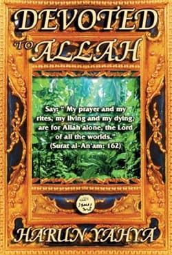 Devoted to Allah (পেপারব্যাক) | Devoted to Allah (Paperback)