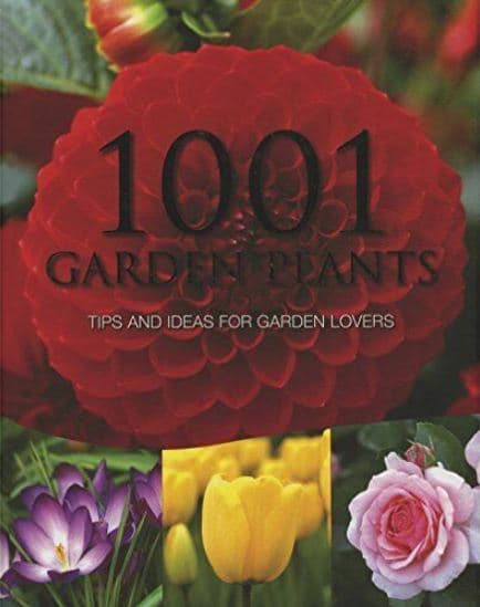 1001 Garden Plants (হার্ডকভার) | 1001 Garden Plants (Hardcover)