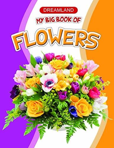 My Big Book of Flowers (পেপারব্যাক) | My Big Book of Flowers (Paperback)