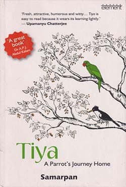 Tiya (পেপারব্যাক) | Tiya (Paperback)