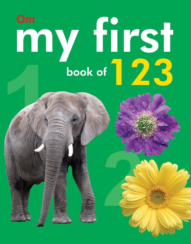 My First Book Of 123 (হার্ডকভার) | My First Book Of 123 (Hardcover)