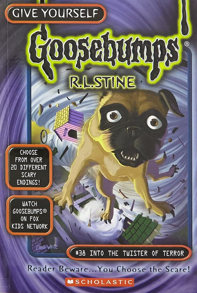 Goosebumps: Into The Twister of Terror (পেপারব্যাক) | Goosebumps: Into The Twister of Terror (Paperback)