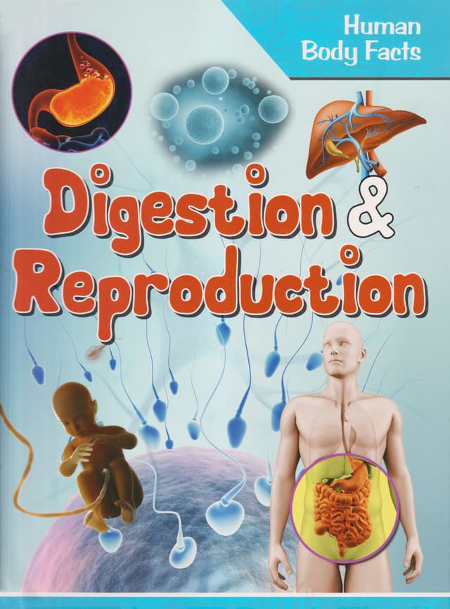 Human Body Facts: Digestion & Reproduction (পেপারব্যাক) | Human Body Facts: Digestion & Reproduction (Paperback)