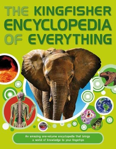 The Encyclopedia of Everything (পেপারব্যাক) | The Encyclopedia of Everything (Paperback)