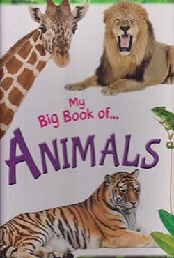 Big Book Of Animals (পেপারব্যাক) | Big Book Of Animals (Paperback)