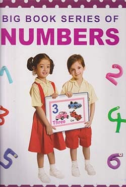 Big Book Series Of Numbers (পেপারব্যাক) | Big Book Series Of Numbers (Paperback)