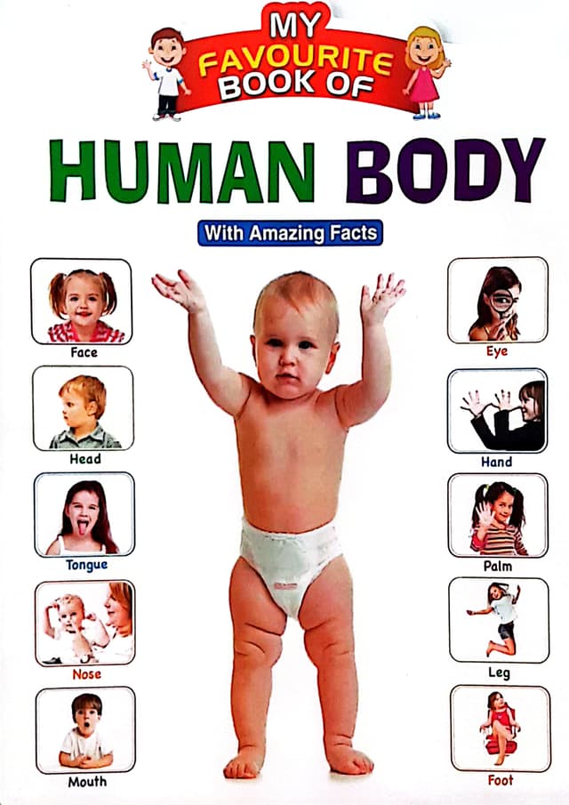 My Favourite Book Of : Human Body (পেপারব্যাক) | My Favourite Book Of : Human Body (Paperback)