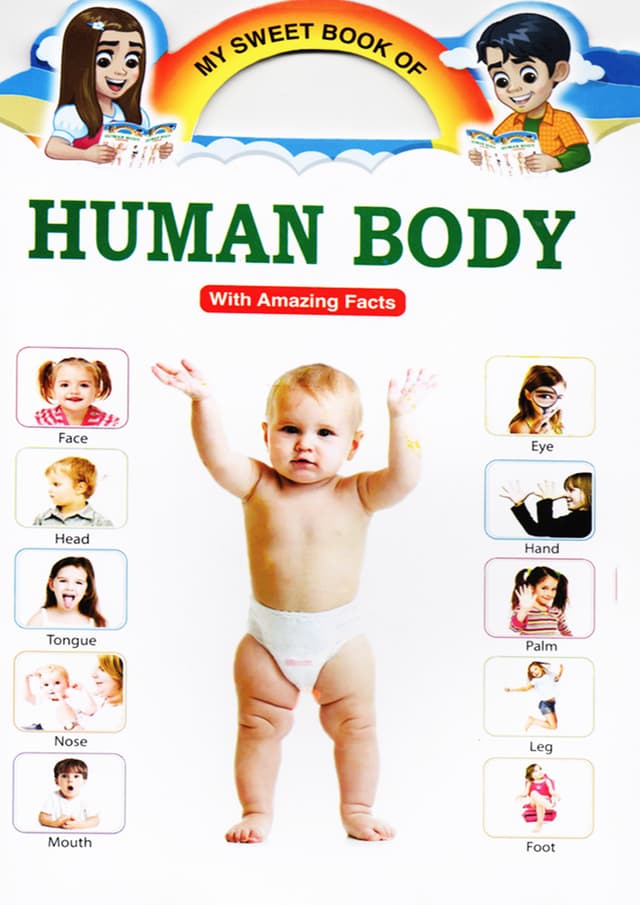 My Sweet Book of Human Body (পেপারব্যাক) | My Sweet Book of Human Body (Paperback)