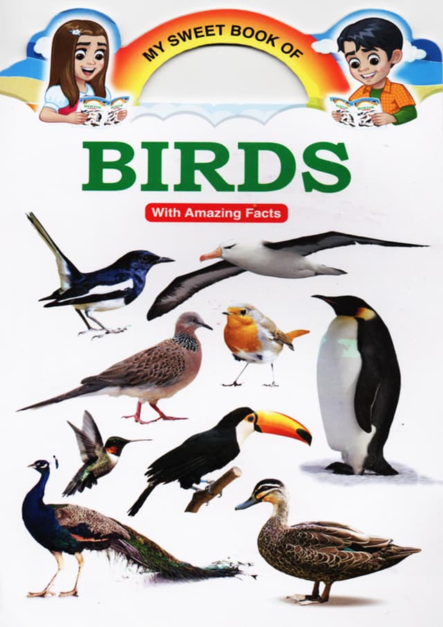 My Sweet Book of Birds (পেপারব্যাক) | My Sweet Book of Birds (Paperback)