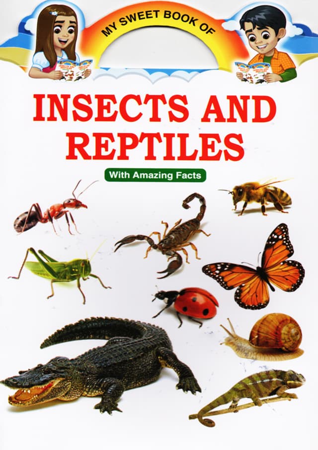 My Sweet Book of Insects And Reptiles (পেপারব্যাক) | My Sweet Book of Insects And Reptiles (Paperback)