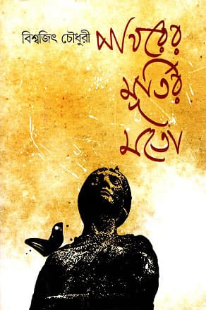 পাথরের মূর্তির মতো (হার্ডকভার) | Pathorer Murtir Moto (Hardcover)