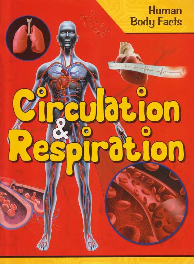 Circulation & Respiration- Human Body Facts (পেপারব্যাক) | Circulation & Respiration- Human Body Facts (Paperback)