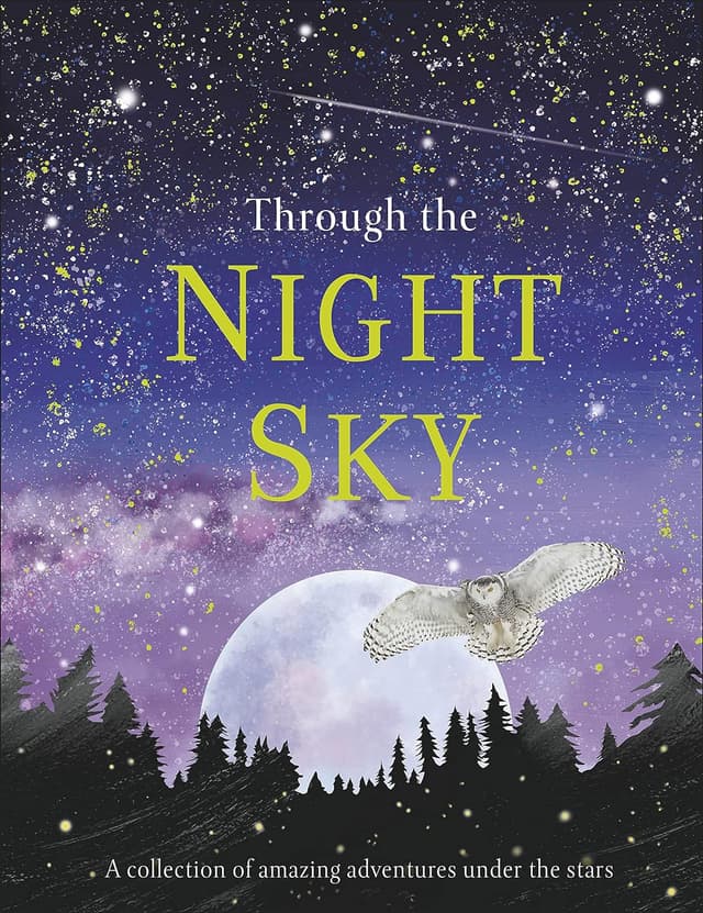 Through the Night Sky (হার্ডকভার) | Through the Night Sky (Hardcover)