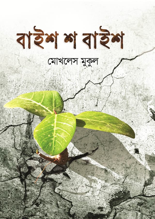বাইশ শ বাইশ (হার্ডকভার) | Baish Sha Baish (Hardcover)