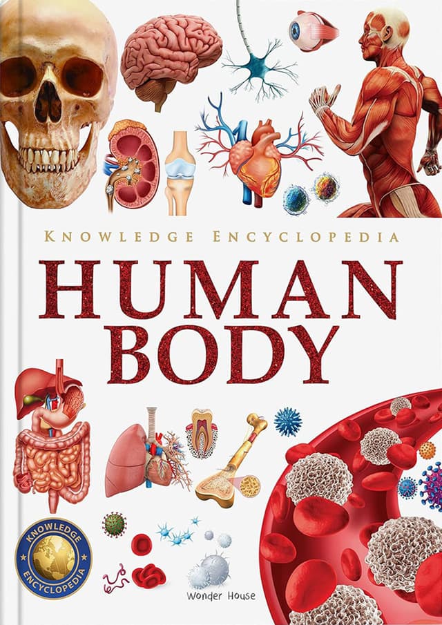 Knowledge Encyclopedia Human Body (হার্ডকভার) | Knowledge Encyclopedia Human Body (Hardcover)