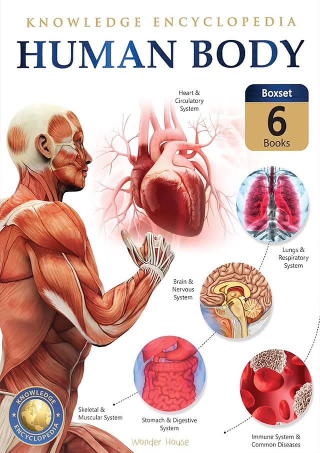 Knowledge Encyclopedia Human Body Box Set 6 Books (পেপারব্যাক) | Knowledge Encyclopedia Human Body Box Set 6 Books (Paperback)