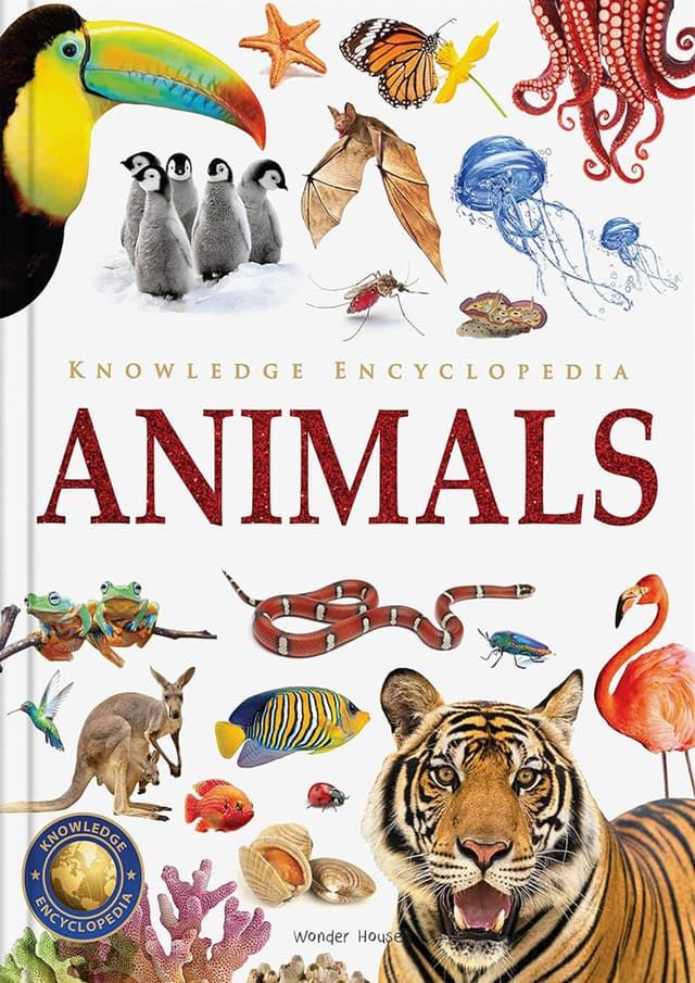 Knowledge Encyclopedia Animals (হার্ডকভার) | Knowledge Encyclopedia Animals (Hardcover)