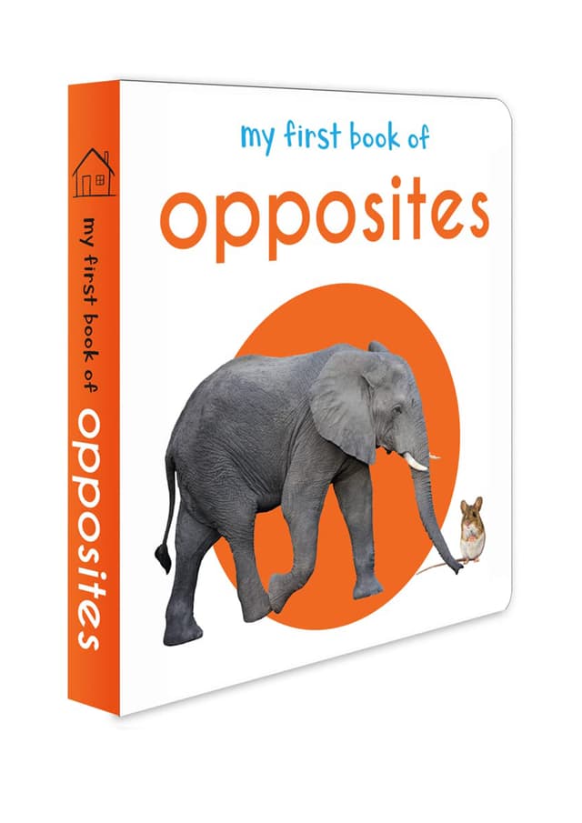 My First Book of Opposites (পেপারব্যাক) | My First Book of Opposites (Paperback)