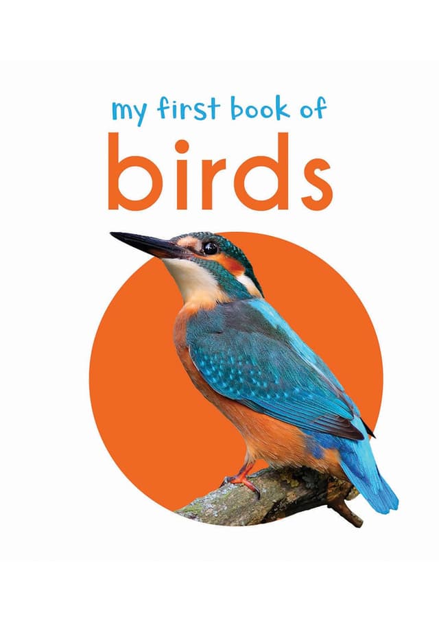 My First Book of Birds (পেপারব্যাক) | My First Book of Birds (Paperback)