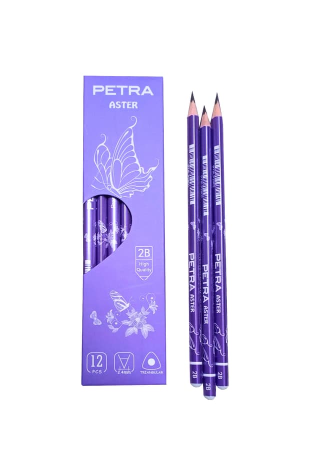 Petra Aster Triangular 2B Pencil-Purple PTBLP2B02 | 
