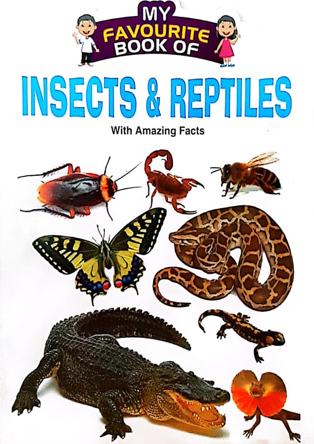My Favourite Book Of : Insects & Reptiles (পেপারব্যাক) | My Favourite Book Of : Insects & Reptiles (Paperback)