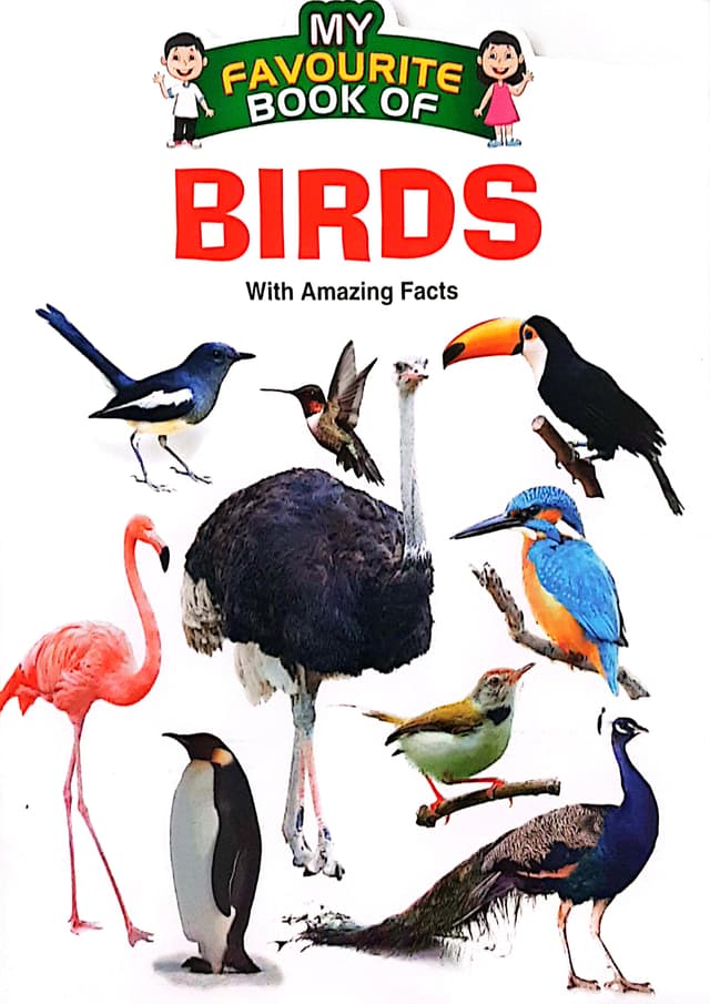 My Favourite Book Of : Birds (পেপারব্যাক) | My Favourite Book Of : Birds (Paperback)