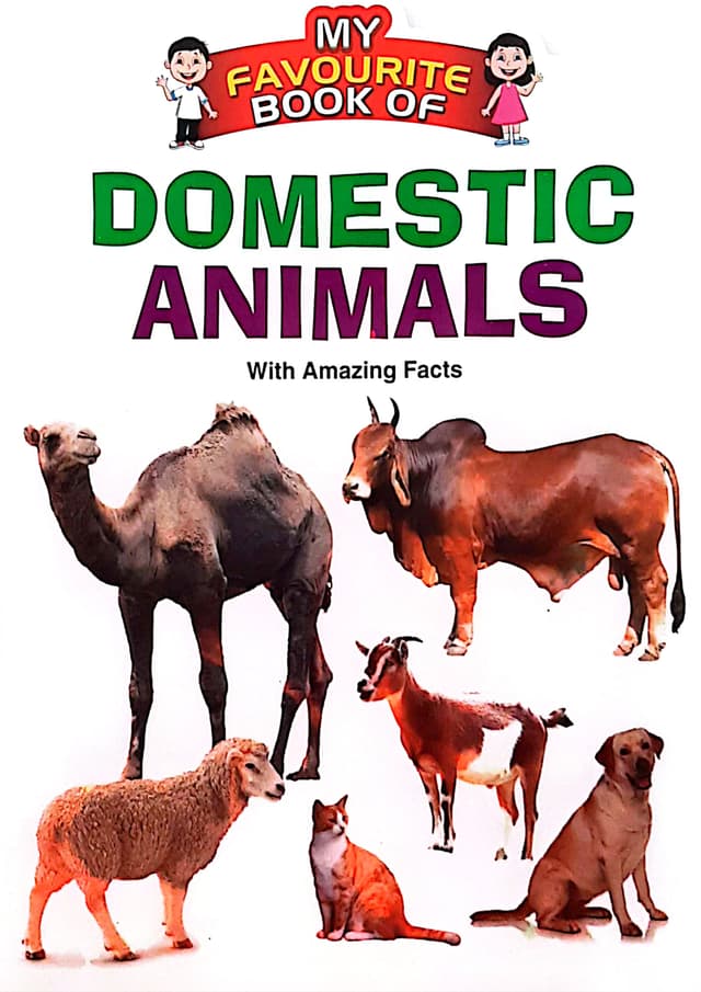 My Favourite Book Of : Domestic Animals (পেপারব্যাক) | My Favourite Book Of : Domestic Animals (Paperback)