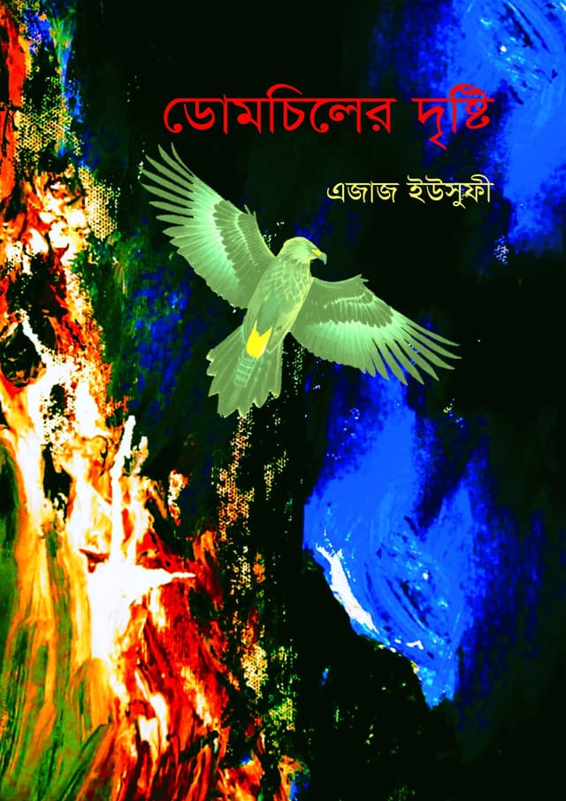 ডোমচিলের দৃষ্টি (হার্ডকভার) | Domchiler Dristy (Hardcover)