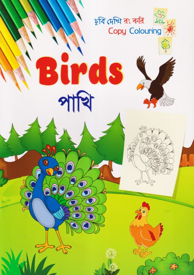 ছবি দেখি রং করি - পাখি (পেপারব্যাক) | Copy Colouring - Birds (Paperback)