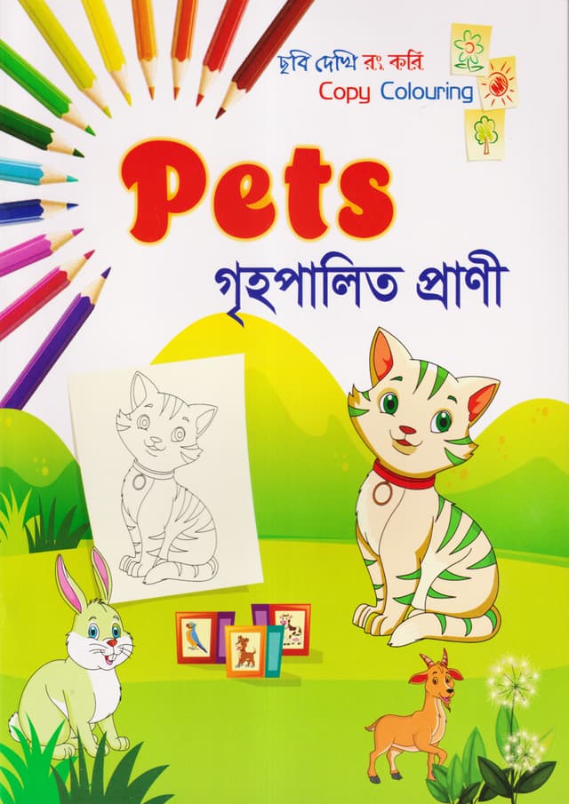 ছবি দেখি রং করি - গৃহপালিত প্রানী (পেপারব্যাক) | Copy Colouring - Pets (Paperback)