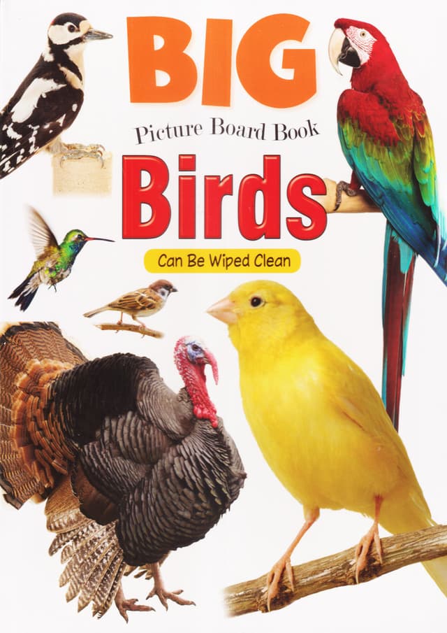 BIG PICTURE BOARD BOOK : BIRDS (হার্ডকভার) | BIG PICTURE BOARD BOOK : BIRDS (Hardcover)