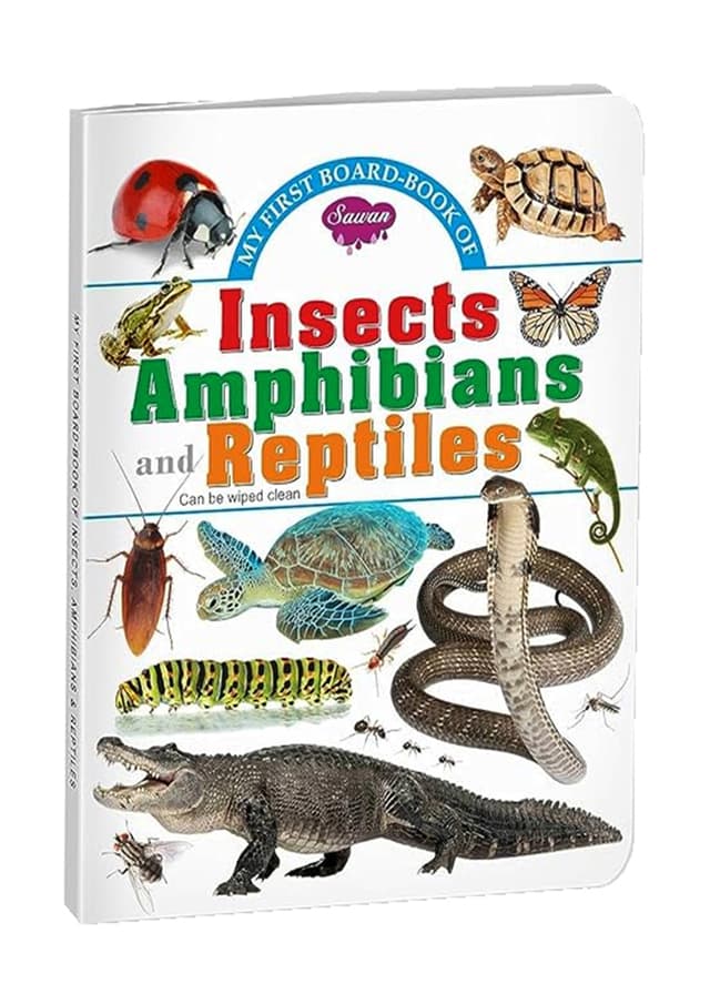 My First Board Book : Insects Amphibians And Reptiles (হার্ডকভার) | My First Board Book : Insects Amphibians And Reptiles (undefined)