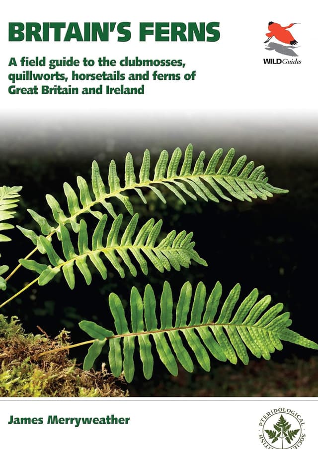 Ferns: Clubmosses, Quillworts and Horsetails of Britain and Ireland (পেপারব্যাক) | Ferns: Clubmosses, Quillworts and Horsetails of Britain and Ireland (undefined)