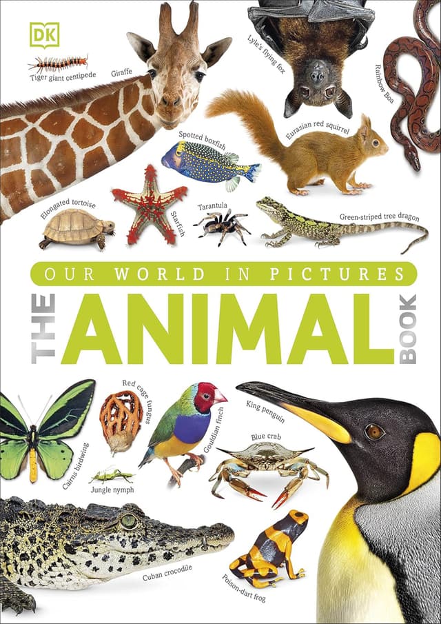 Our World in Pictures : The Animal Book (হার্ডকভার) | Our World in Pictures : The Animal Book (Hardcover)