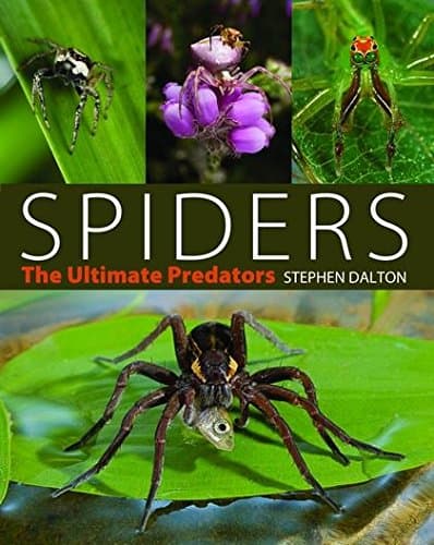 Spiders: The Ultimate Predators (হার্ডকভার) | Spiders: The Ultimate Predators (Hardcover)