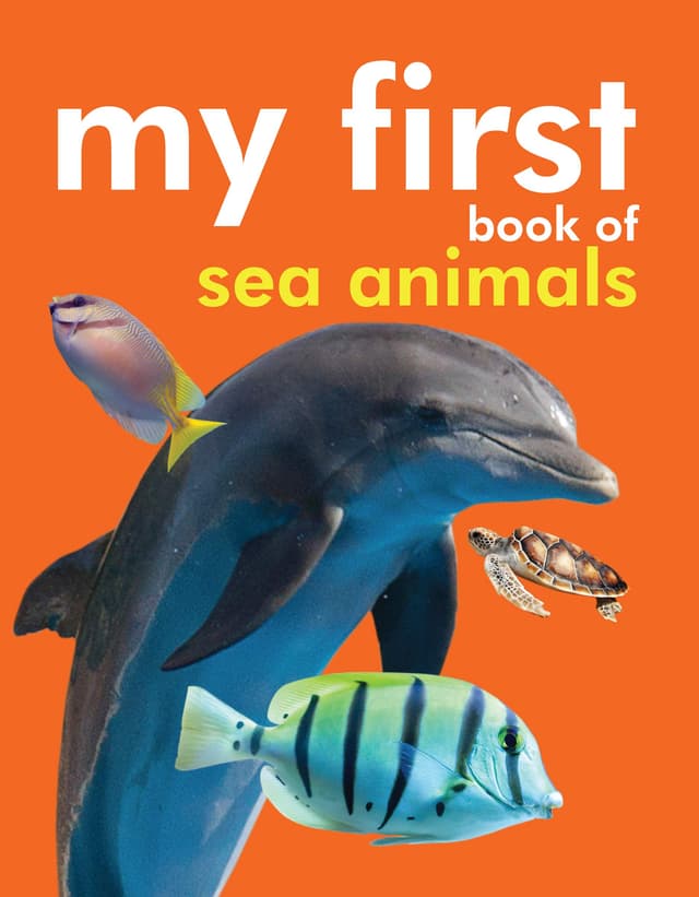 my first book of sea animals (হার্ডকভার) | my first book of sea animals (Hardcover)