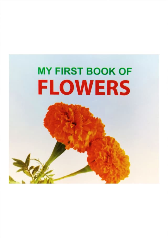 My First Book of Flowers (পেপারব্যাক) | My First Book of Flowers (Paperback)