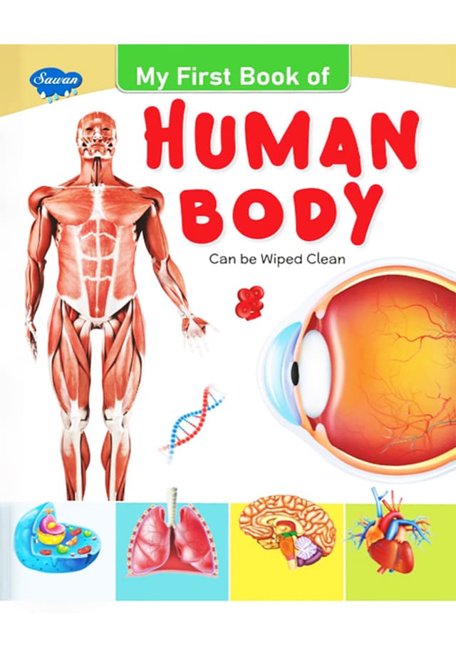 My First Board-Book : Human Body (হার্ডকভার) | My First Board-Book : Human Body (undefined)