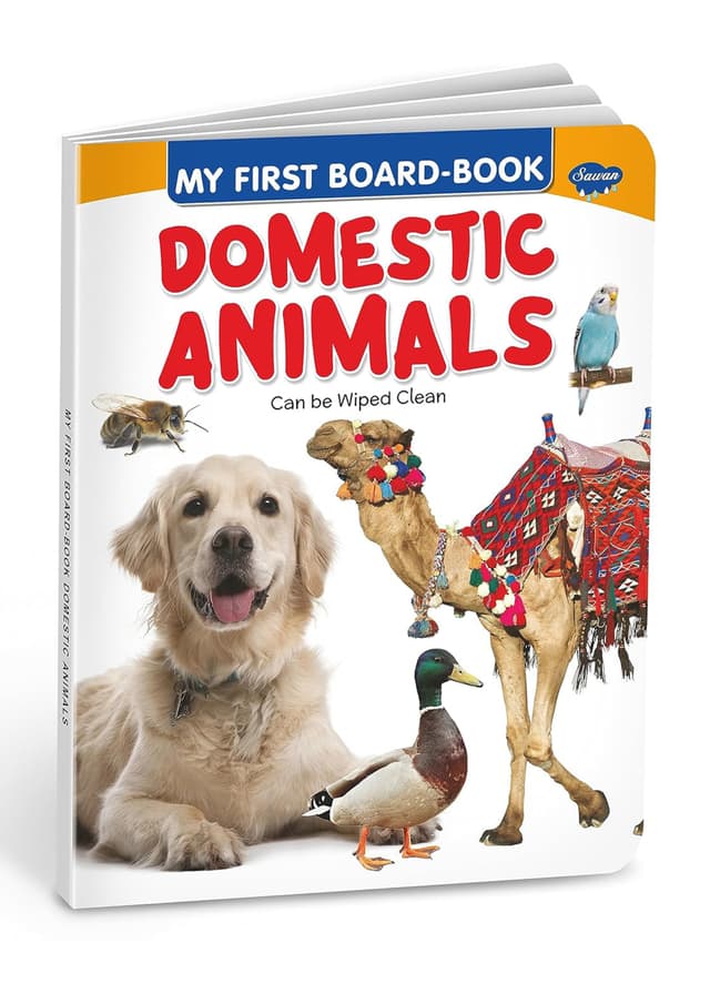 My First Board Book : Domestic Animals (হার্ডকভার) | My First Board Book : Domestic Animals (undefined)
