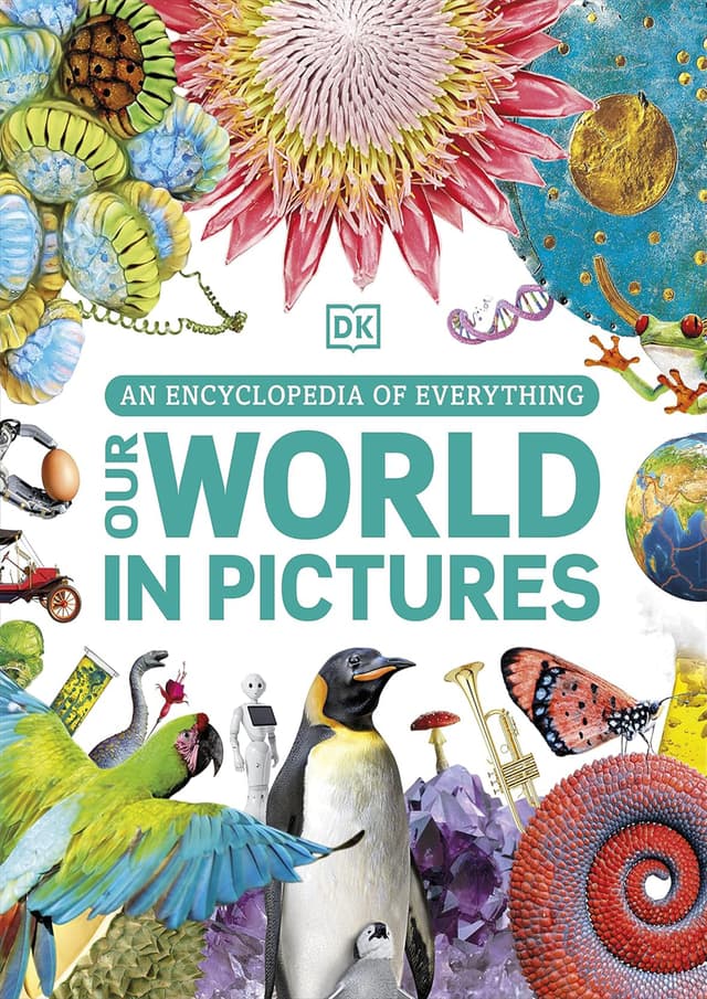 Our World in Pictures: An Encyclopedia of Everything (হার্ডকভার) | Our World in Pictures: An Encyclopedia of Everything (undefined)