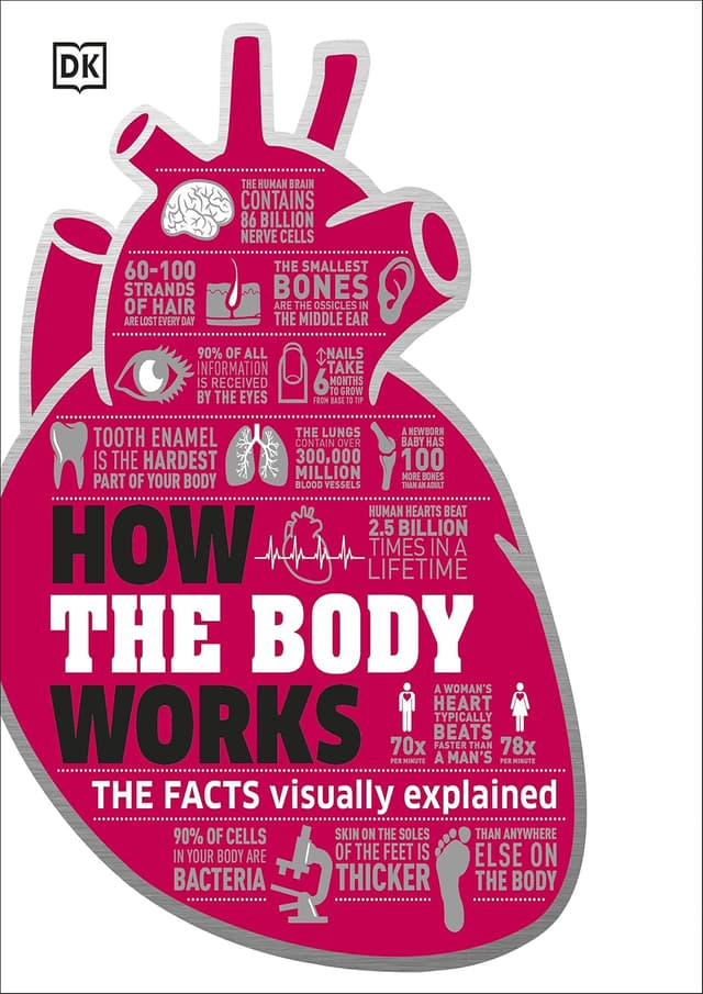 How The Body Works (হার্ডকভার) | How The Body Works (undefined)